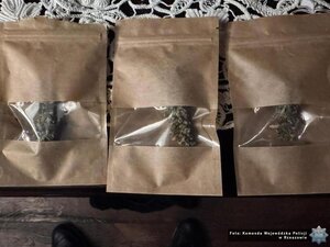 narkotyki, susz konopi indyjskich. Narkotyki zapakowane w worki. Leżą w pudełkach. Tort i galaretki.