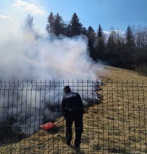Policjanci gaszą płonącą łąkę.
