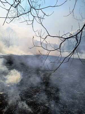 Pożar łąki w Bystrem.