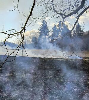 Pożar łąki w Bystrem.