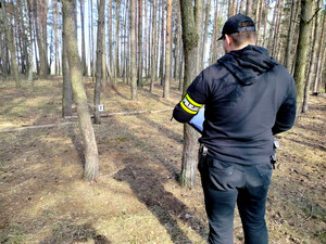 las. Policjant ogląda założone druty. Zatrzymany mężczyzna.