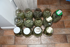 marihuana w słoikach.