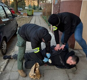 zatrzymany leży na ziemi, przy nim kucają policjanci.