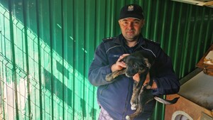 Policjant trzyma na ręku psa.