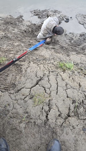 Mężczyzna wyciągany z rzeki za pomocą liny holowniczej.