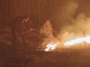 Gaszący trawę policjant.