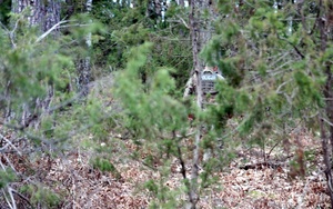 Wspólna praktyka i taktyka służby kryminalnej i prewencyjnej