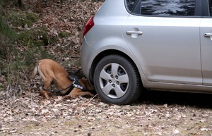 Wspólna praktyka i taktyka służby kryminalnej i prewencyjnej