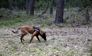 Wspólna praktyka i taktyka służby kryminalnej i prewencyjnej