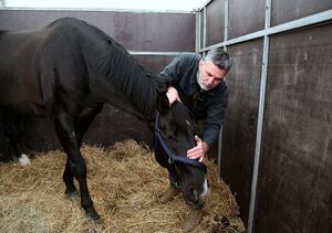 Mężczyzna w boksie z koniem.