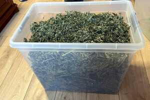 Zabezpieczone narkotyki.