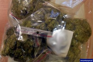 Zabezpieczone narkotyki.