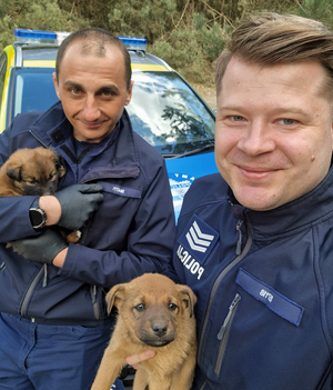 dwóch policjantów trzyma na rękach dwa szczeniaki.