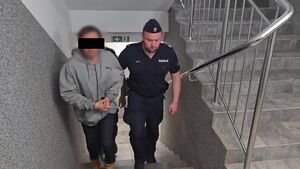 Policjant prowadzi zatrzymanego mężczyznę schodami do góry.