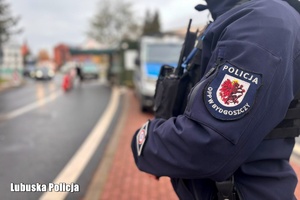 Policjant w mundurze, stoi przy drodze.