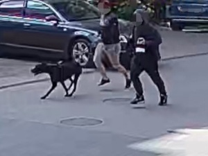 Dwaj mężczyźni z psem.