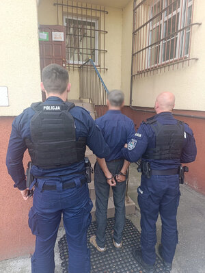 Mężczyzna w kajdankach na rękach prowadzony przez policjantów do budynku - widok z tyłu.