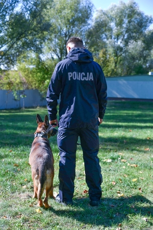 Odwrócony tyłem policjant w nowym umundurowaniu. Na smyczy trzyma psa.