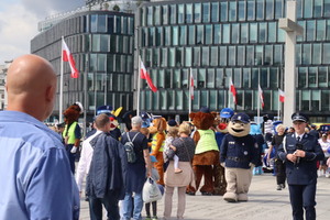 Zdjęcie przedstawia maskotki policyjne wśród tłumu ludzi
