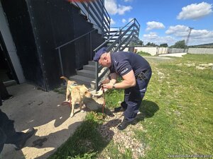 Policjant z psem na smyczy.