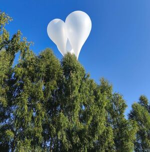 Balony widoczne nad drzewami.
