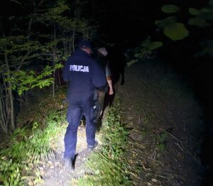Policjanci w terenie zalesionym podczas poszukiwania zagubionej kobiety.