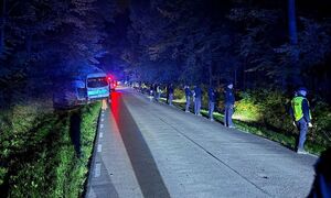 Policjanci na drodze przy lesie.