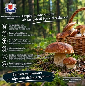 Plakat informacyjny o zachowaniu bezpieczeństwa podczas grzybobrania.