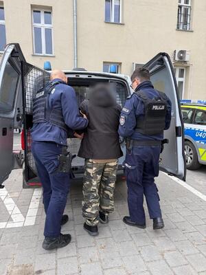 Policjanci wsadzają zatrzymanego do radiowozu.