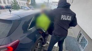 Policjant z zatrzymanym, który wsiada do samochodu - widok z tyłu.