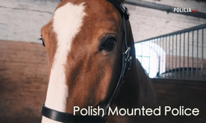 Łeb konia, na dole napis: Polish Mounted Police.