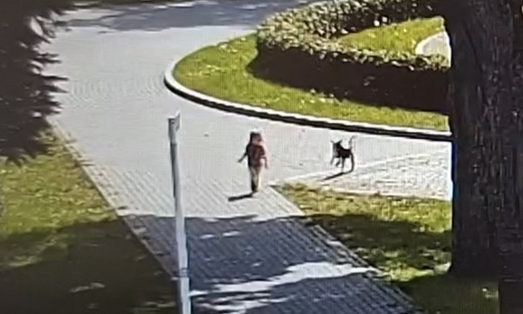 Odurzona narkotykami matka „opiekowała się” trzylatką. Dziecko wchodziło na pasy, gdy zauważył je przechodzień