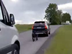 Pawłowiccy policjanci interweniowali w sprawie psów przywiązanych do auta