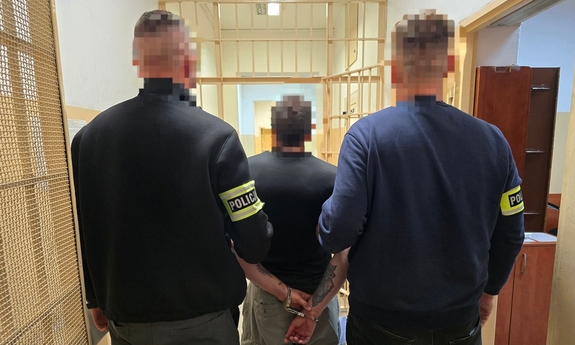 Areszt dla oszusta internetowego wyłudzającego pieniądze dzięki przesłanych linków