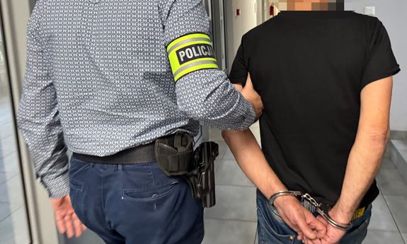 Zabił kota - został zatrzymany! Grozi mu kara do 3 lat pozbawienia wolności