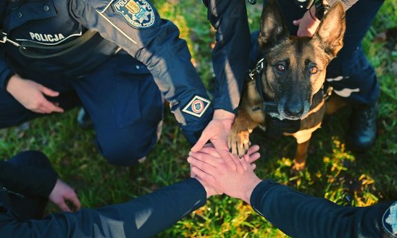 Finał akcji „Karma zamiast fajerwerków” - wspólne działania policjantów na rzecz zwierząt