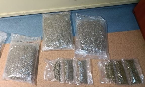 34-latek z szeregiem zarzutów - jest tymczasowy areszt