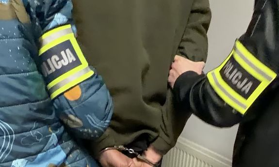Zatrzymany przez policjantów z Gniewina za uśmiercenie psa
