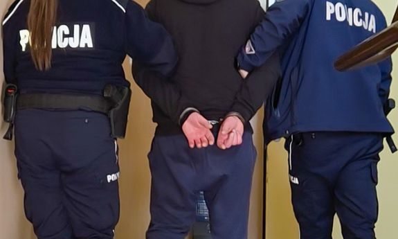 Skuteczni w zwalczaniu przestępczości narkotykowej - ponad 2 kg heroiny nie trafią na czarny rynek