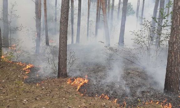 Policjanci gasili pożar lasu