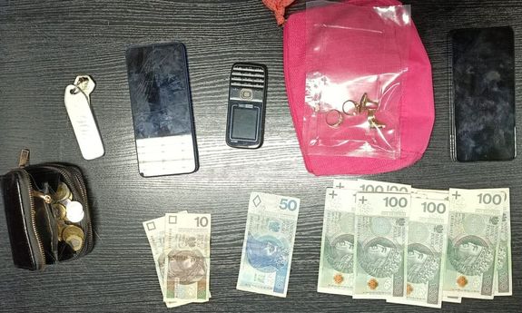 Areszt tymczasowy dla 18-letniej obywatelki Czech, za udział w oszustwie