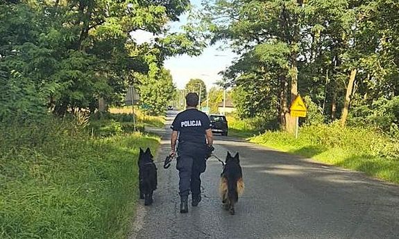 Po blisko 20 kilometrach wędrówki owczarki trafiły z powrotem do właścicieli