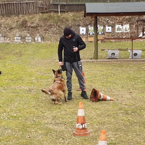 Wspólne ćwiczenia psów służbowych dotyczyły doskonalenia wyszkolenia w zakresie wykrywania zapachów narkotyków. Policjanci oraz strażnicy graniczni ćwiczyli ich odnajdywanie.