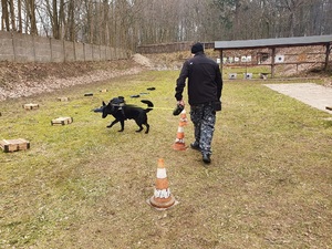 Wspólne ćwiczenia psów służbowych dotyczyły doskonalenia wyszkolenia w zakresie wykrywania zapachów narkotyków. Policjanci oraz strażnicy graniczni ćwiczyli ich odnajdywanie.