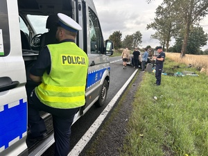 zabezpieczenie festiwalu