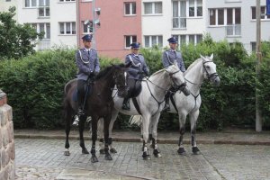 Wojewódzkie obchody Święta Policji w Szczecinie