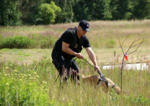 Eliminacje Wojewódzkie XVIII Kynologicznych Mistrzostw Polski- zakończone