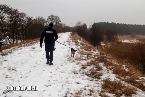 Przewodnik psa policyjnego idący drogą gruntową z psem.