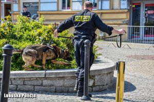 Policjant z psem podczas sprawdzenia pirotechnicznego.