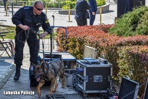 Policjant z psem dokonują sprawdzenia pirotechnicznego.